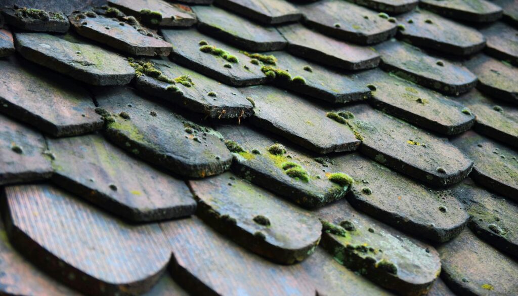 Démoussage de toiture Bordeaux